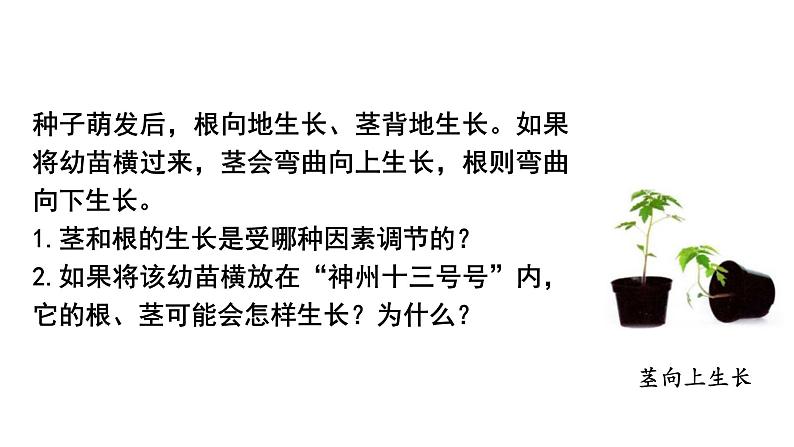 5.3 植物对多种环境信号做出反应(精编课件+同步练习)精编高二生物同步备课系列(浙科版2019选择性必修1)01