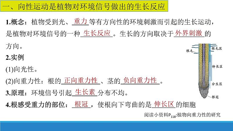 5.3 植物对多种环境信号做出反应(精编课件+同步练习)精编高二生物同步备课系列(浙科版2019选择性必修1)04