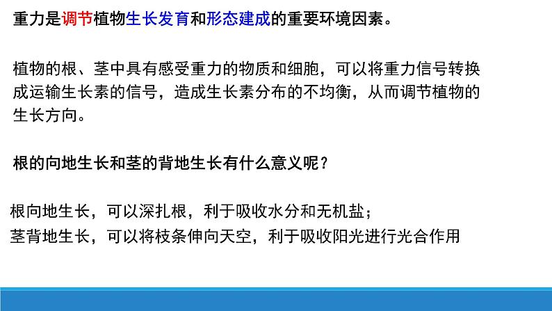 5.3 植物对多种环境信号做出反应(精编课件+同步练习)精编高二生物同步备课系列(浙科版2019选择性必修1)06