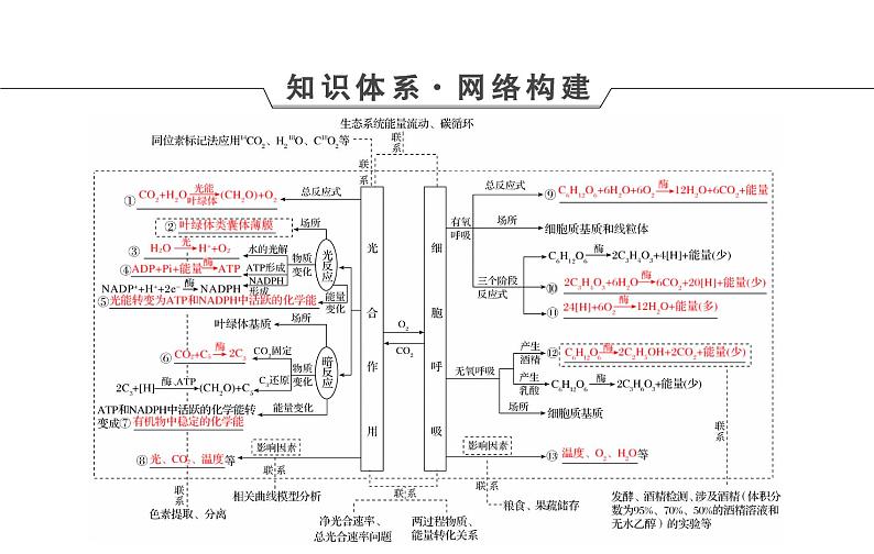 2023届高考生物二轮复习细胞呼吸和光合作用课件04
