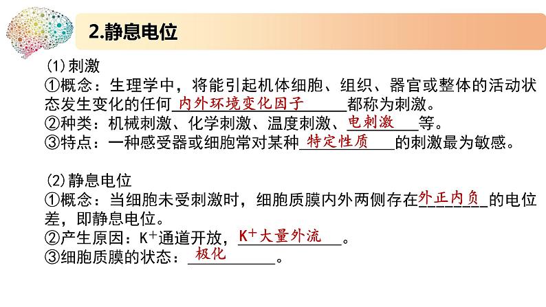 1.1.2精编动作电位的产生和传导(精编课件+同步练习)精编高二生物同步备课系列(新苏教版(2019)选择性必修1)08
