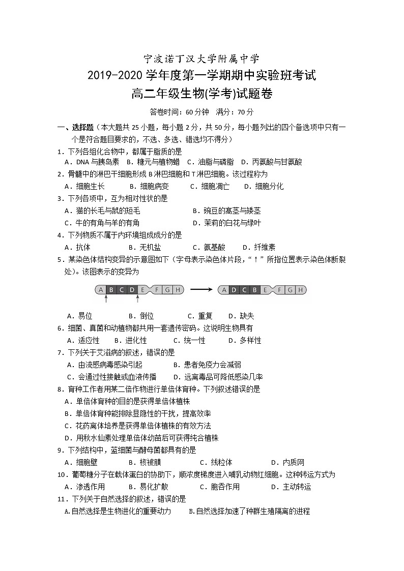 2019-2020学年浙江省宁波诺丁汉大学附属中学高二上学期期中考试生物学考试题(实验班) Word版01