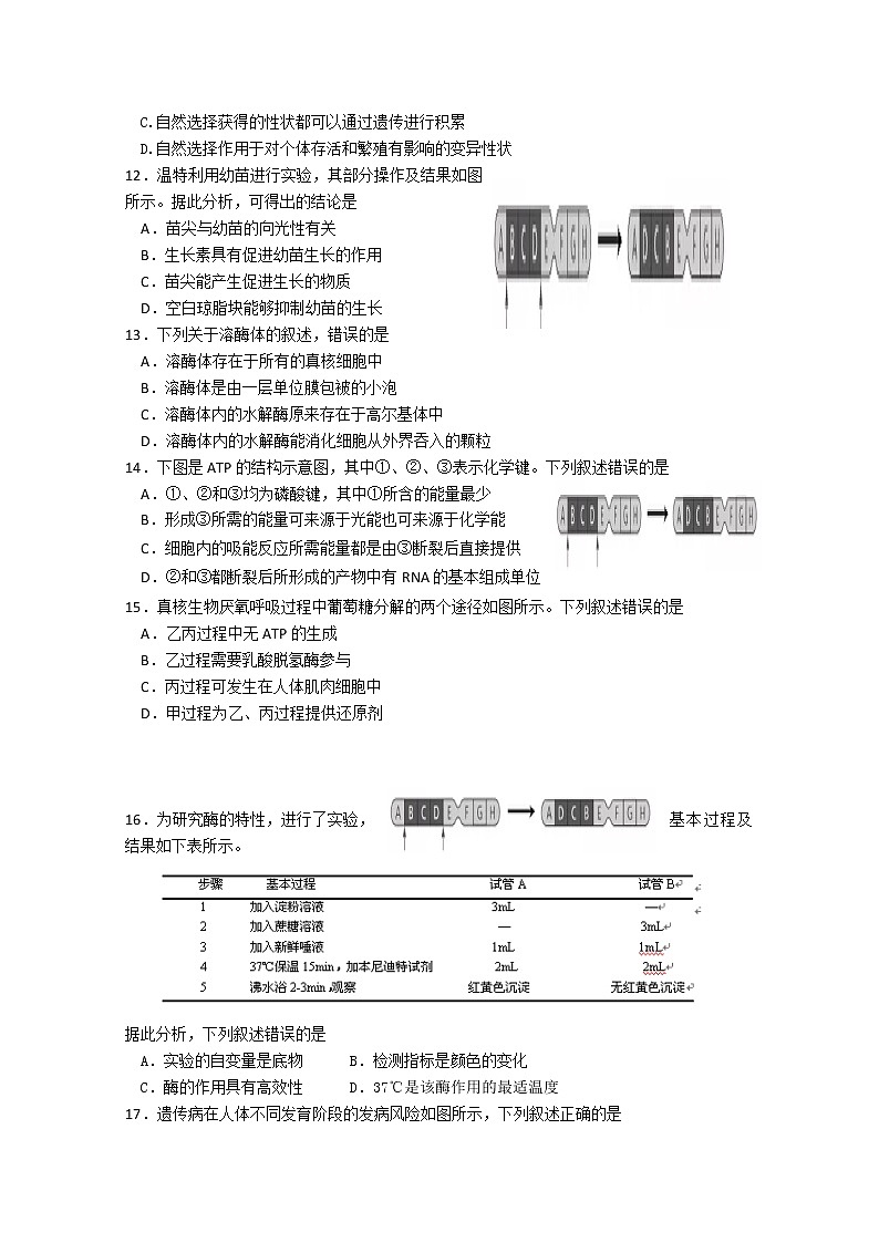 2019-2020学年浙江省宁波诺丁汉大学附属中学高二上学期期中考试生物学考试题(实验班) Word版02