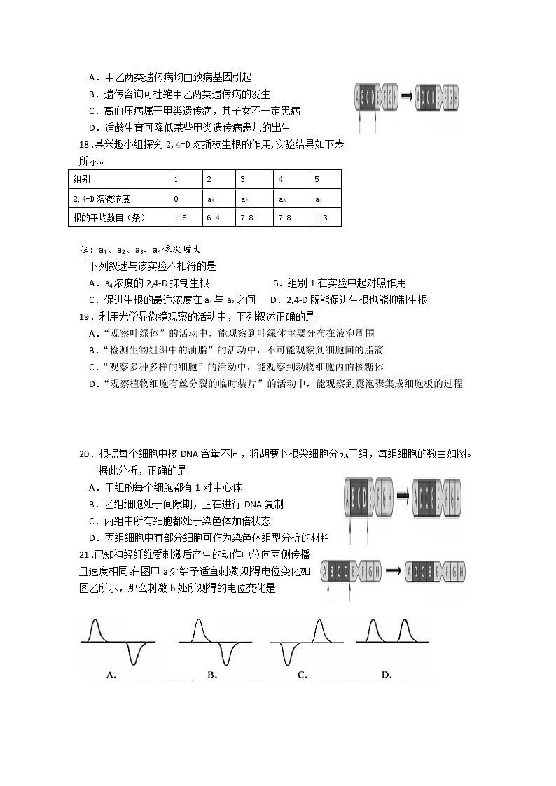 2019-2020学年浙江省宁波诺丁汉大学附属中学高二上学期期中考试生物学考试题(实验班) Word版03