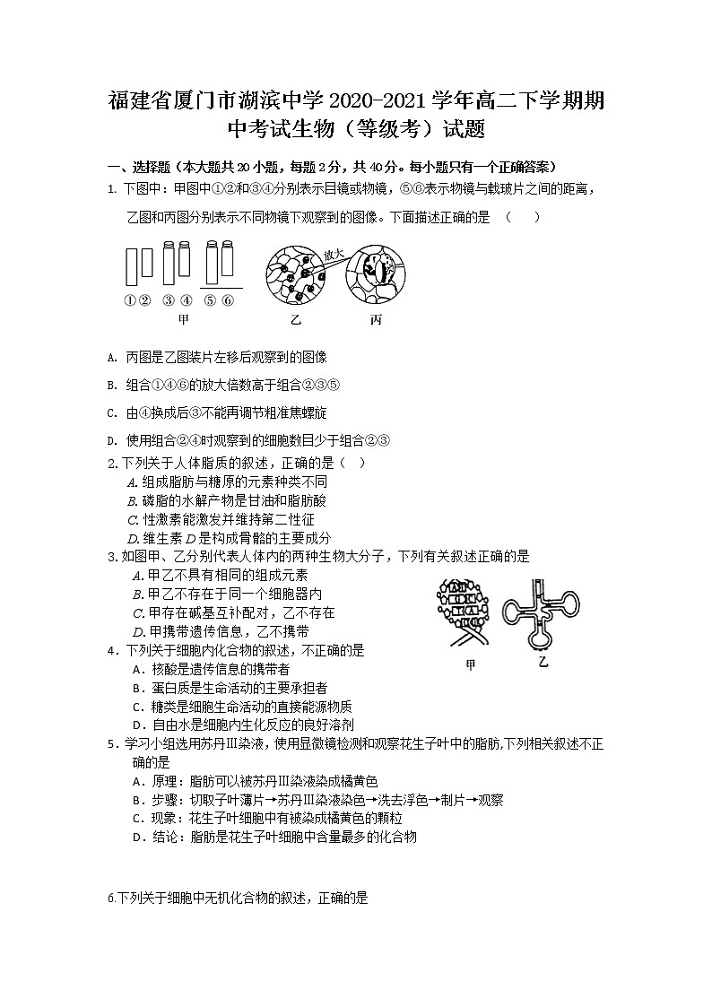 2020-2021学年福建省厦门市湖滨中学高二下学期期中考试生物(等级考)试题 word版01