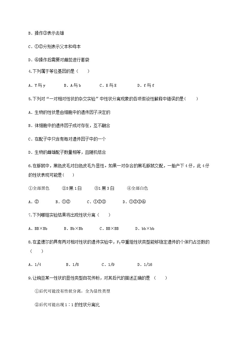 2020-2021学年甘肃省会宁县第一中学高二上学期期中考试生物(文)试题 Word版02