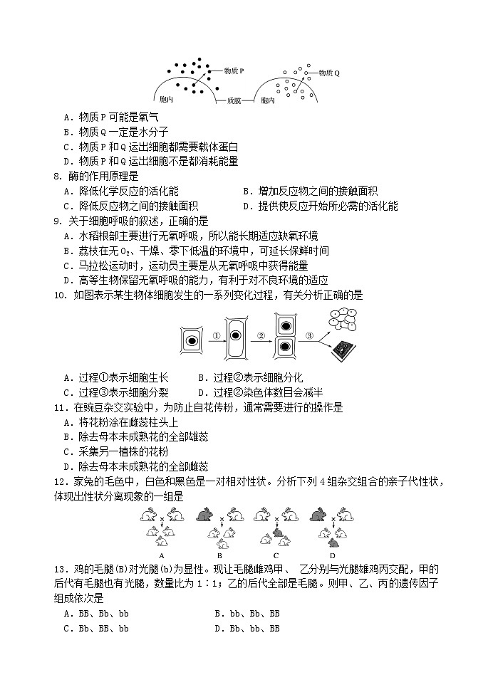 2020-2021学年河北省唐山一中高二上学期期中考试生物(合格考)试题 Word版02