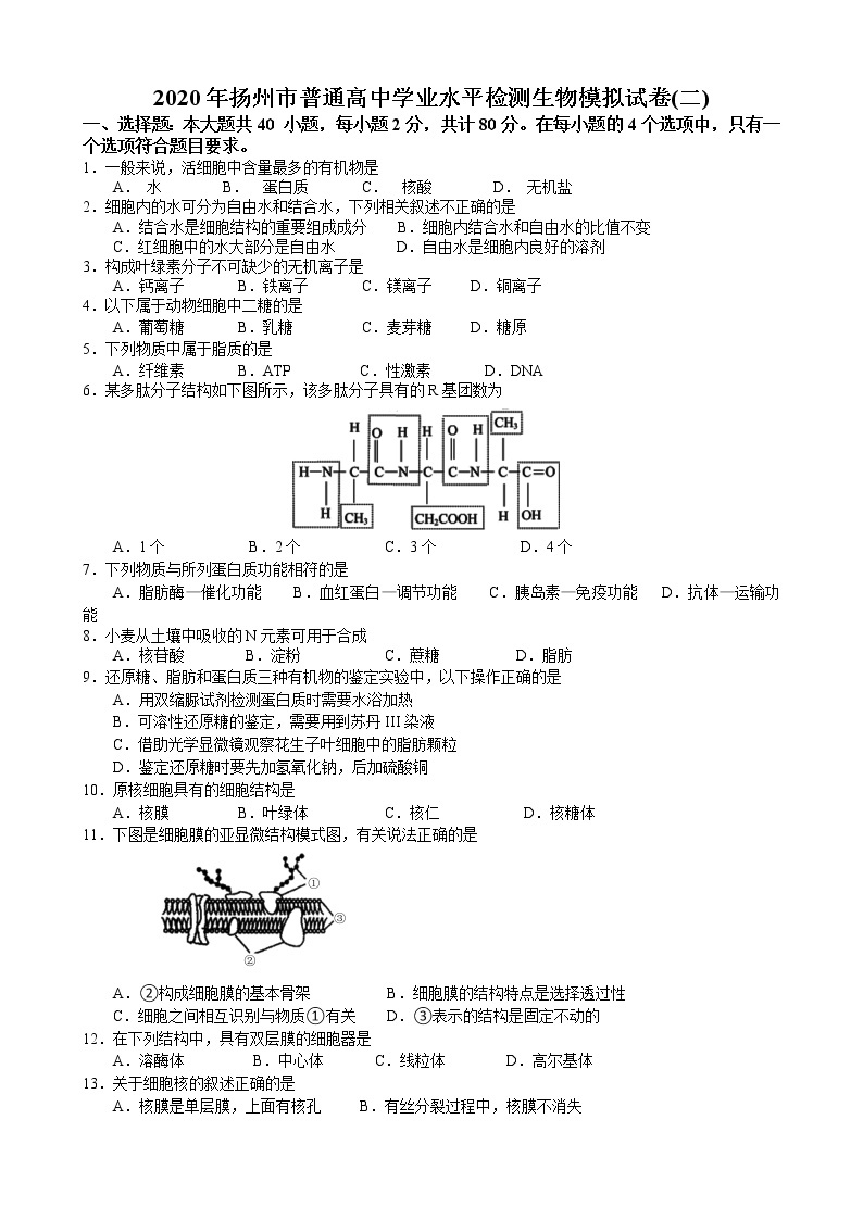 2019-2020学年江苏省扬州市高二学业水平合格性考试模拟试题（二）（1月） 生物 Word版01