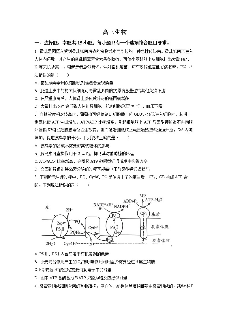 山东省潍坊市2023届高三上学期1月期末考试生物试题第1页