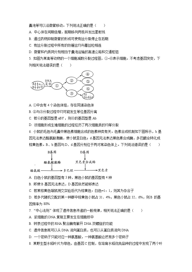 山东省潍坊市2023届高三上学期1月期末考试生物试题第2页