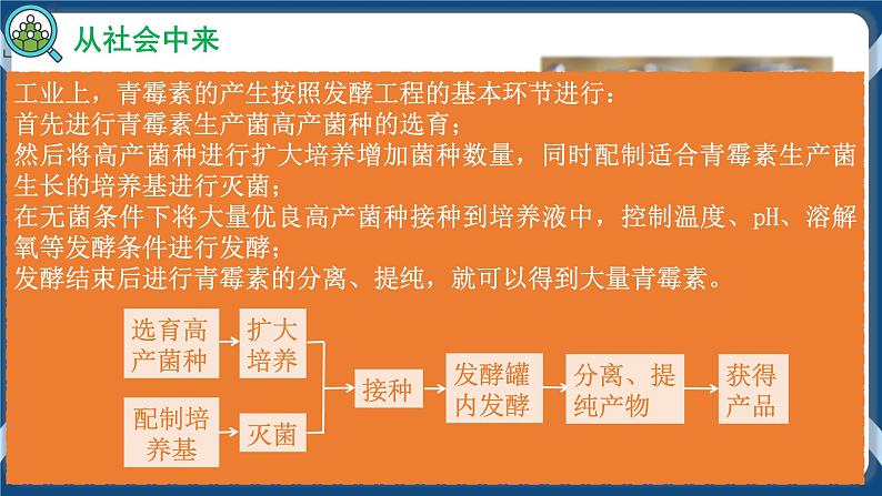 1.3 发酵工程及其应用第3页