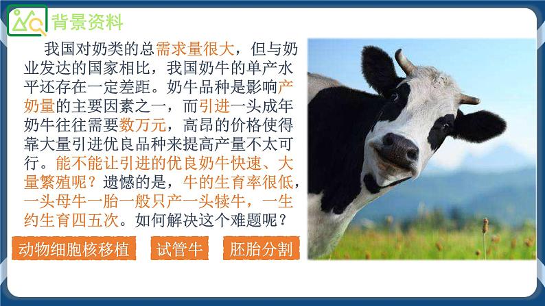 2.3.2 胚胎工程技术及其应用 (课件+练习)高二生物(人教版2019选择性必修3)03