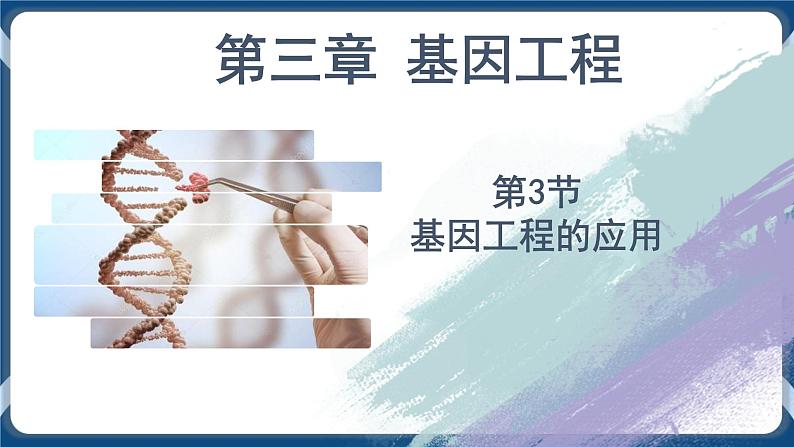 3.3 基因工程的应用 (课件+练习)高二生物(人教版2019选择性必修3)01