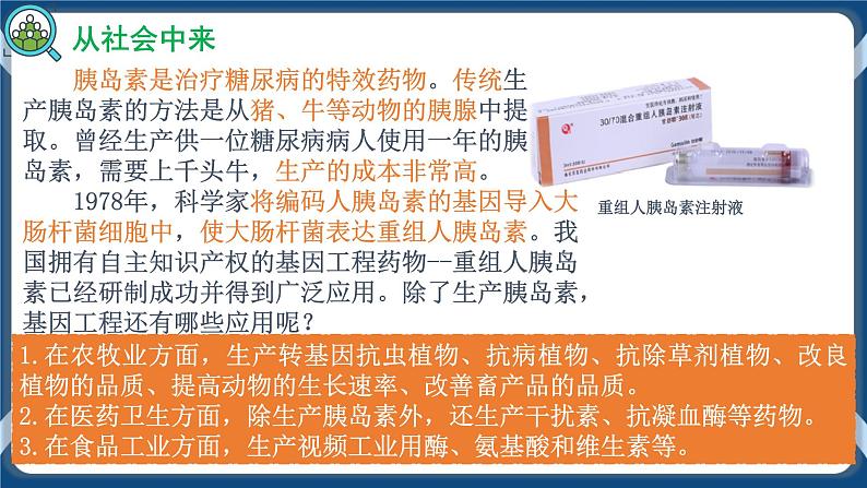 3.3 基因工程的应用 (课件+练习)高二生物(人教版2019选择性必修3)03
