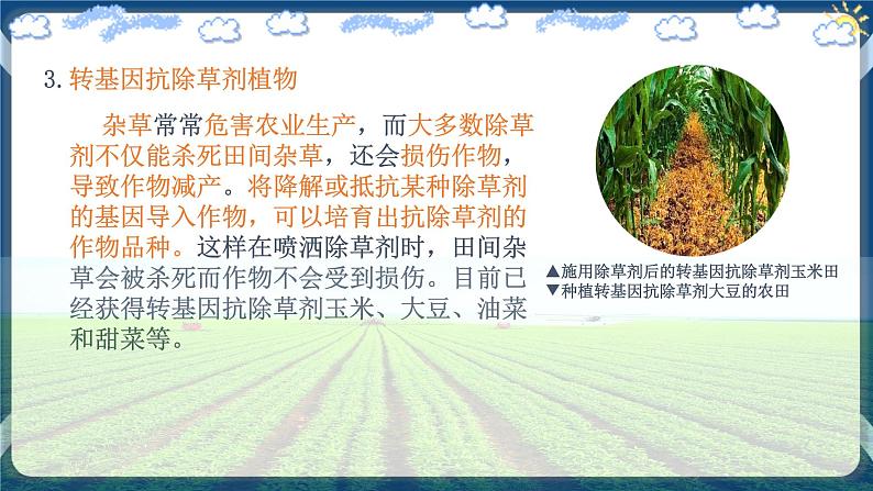 3.3 基因工程的应用 (课件+练习)高二生物(人教版2019选择性必修3)08