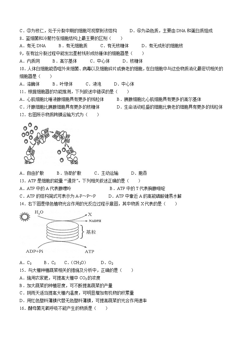 2021-2022学年江苏省常熟中学高二上学期学业水平合格性考试校内第二次模拟考试生物(必修)试题02