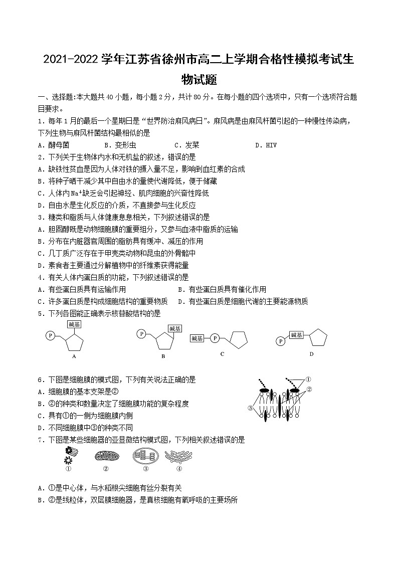2021-2022学年江苏省徐州市高二上学期合格性模拟考试生物试题01