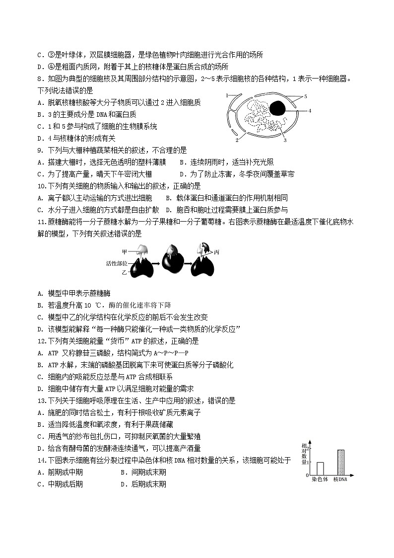 2021-2022学年江苏省徐州市高二上学期合格性模拟考试生物试题02