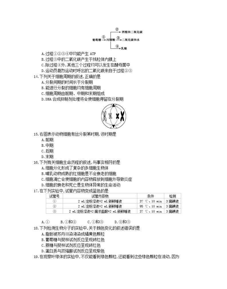 2022年江苏省普通高中学业水平合格性考试调研 生物试卷03