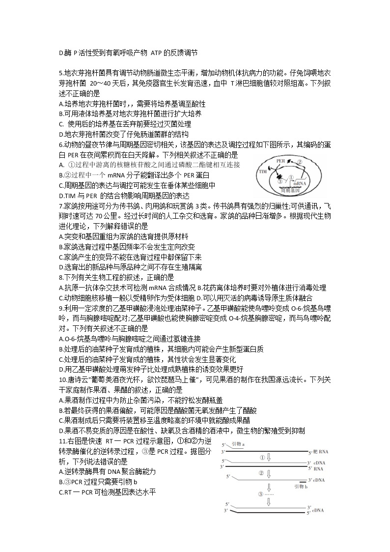 2022年山东省普通高中学业水平等级考试生物模拟试题（一）02