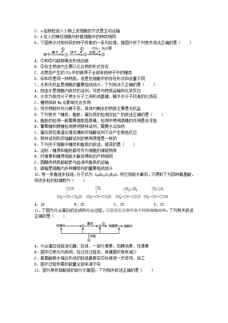 河北省石家庄四校2022-2023高一生物上学期期末联考试卷(Word版附答案)第2页