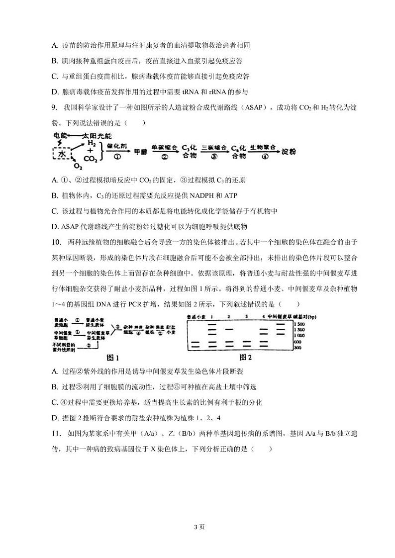 2022-2023学年山东省青岛市莱西市高三上学期期末生物试卷(PDF版)03