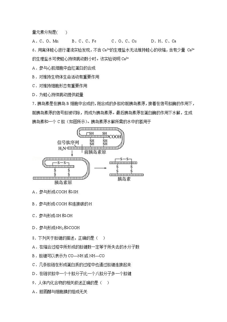 湖南省株洲市天元区2022-2023学年高一生物上学期12月月考试卷（Word版附答案）02