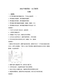 湖南省联考2022-2023学年高一生物上学期12月月考试卷（Word版附答案）