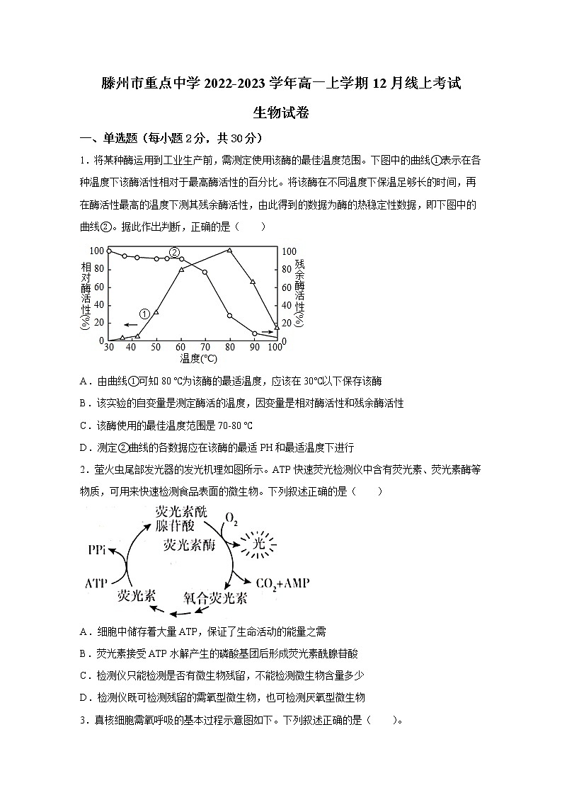 山东省枣庄滕州市重点中学2022-2023学年高一生物上学期12月线上考试试卷(Word版附答案)第1页