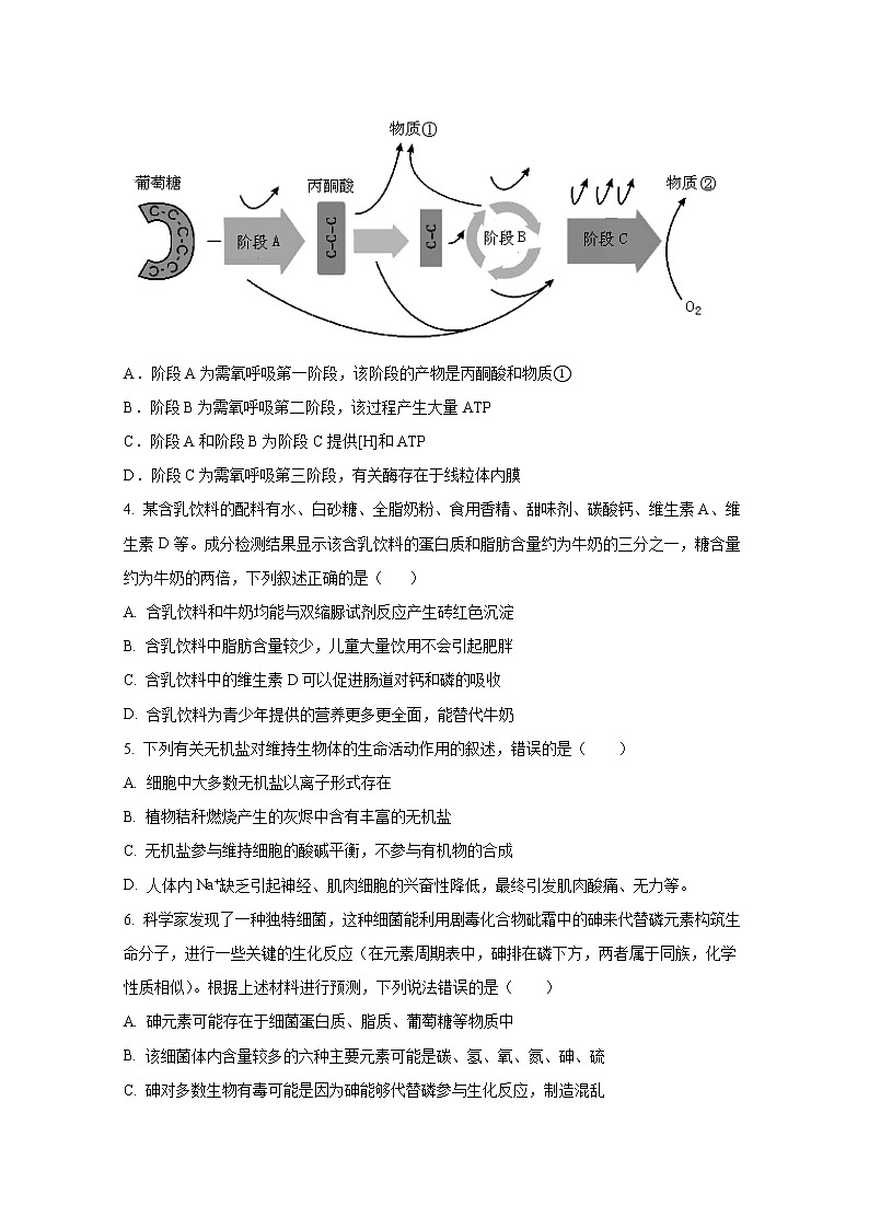 山东省枣庄滕州市重点中学2022-2023学年高一生物上学期12月线上考试试卷(Word版附答案)第2页