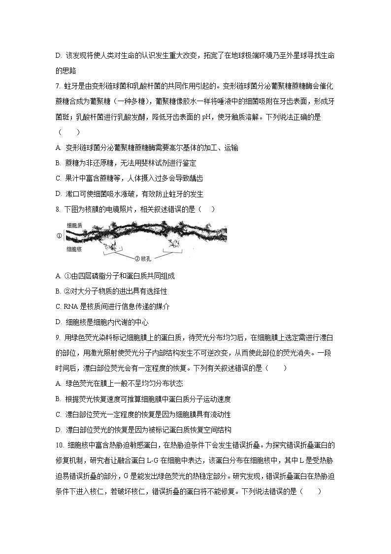 山东省枣庄滕州市重点中学2022-2023学年高一生物上学期12月线上考试试卷(Word版附答案)第3页