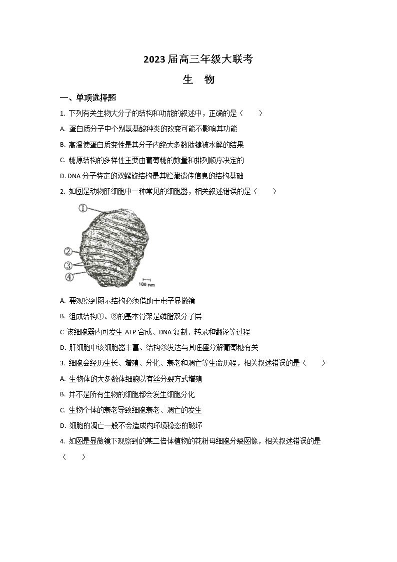 江苏省2023届高三生物上学期大联考试卷(Word版附答案)第1页