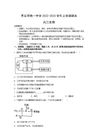 西安市铁一中学2022-2023学年高二生物上学期1月期末试卷（Word版附答案）