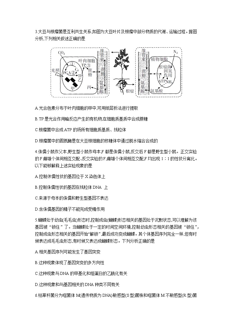 2022-2023学年福建省三明市一中高三上学期1月第一次质量检测生物学试题含答案02