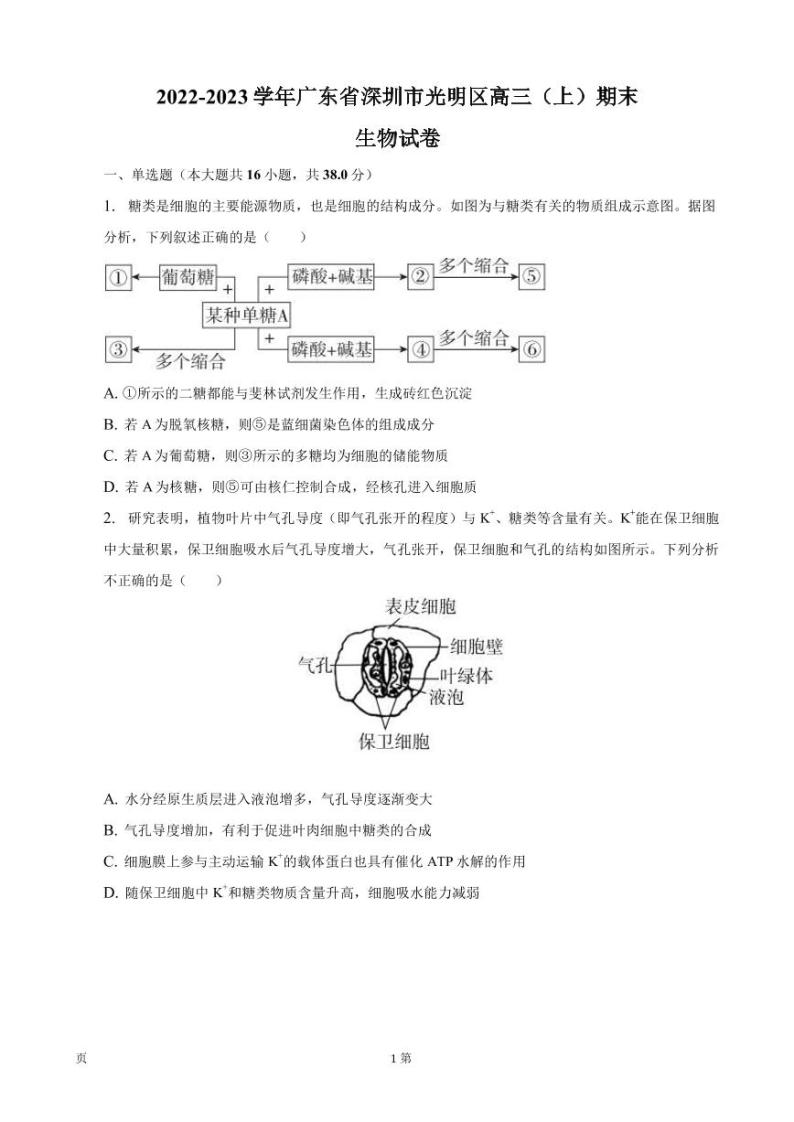 2022-2023学年广东省深圳市光明区高三上学期期末生物试卷PDF版含答案01