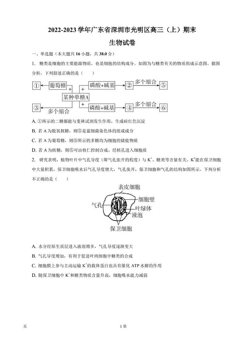 2022-2023学年广东省深圳市光明区高三上学期期末生物试卷PDF版含答案01