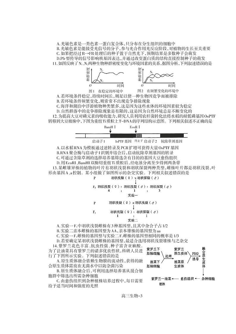 2022-2023学年辽宁省辽南协作校高三上学期期末考试生物PDF版含答案03
