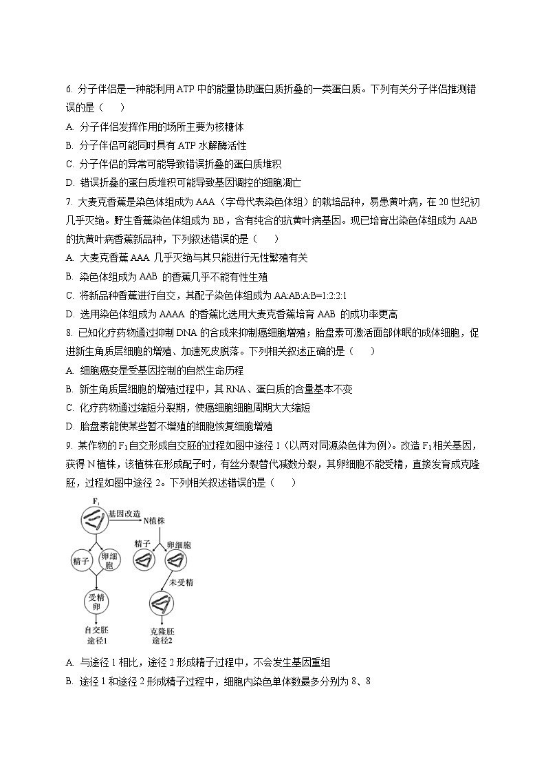 2022-2023学年重庆市巴蜀中学高三上学期高考适应性月考卷(五)生物试题含解析02
