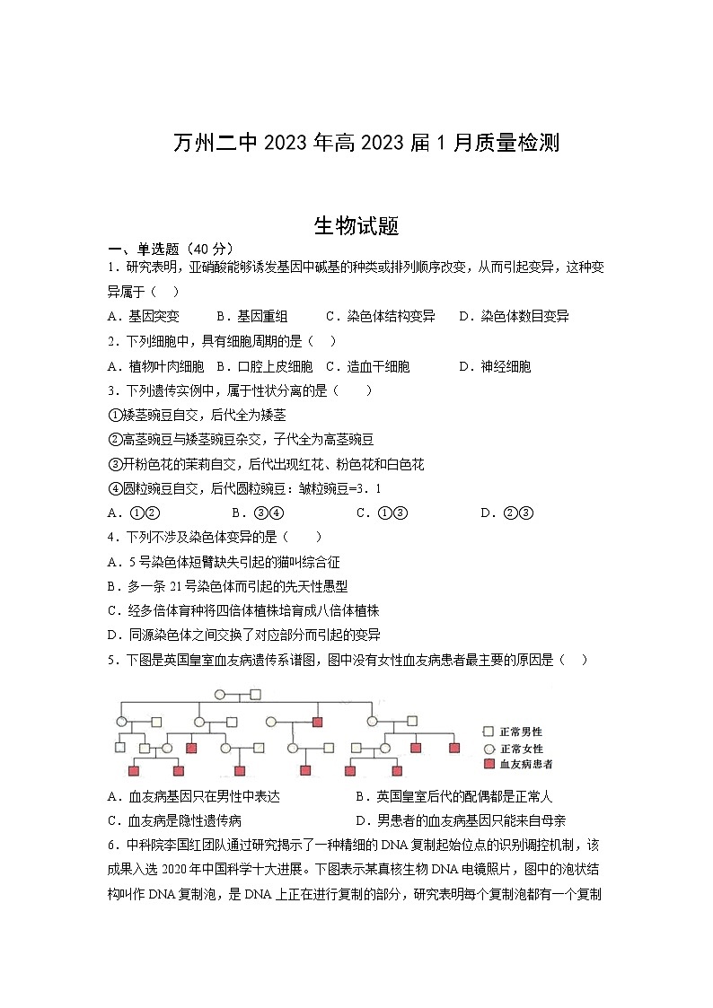 重庆市万州第二高级中学2022-2023学年高三上学期1月质量检测生物试题(Word版附答案)01