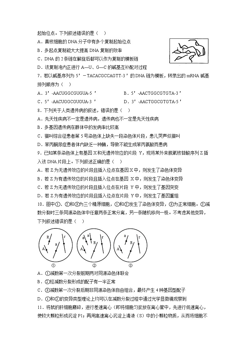 重庆市万州第二高级中学2022-2023学年高三上学期1月质量检测生物试题(Word版附答案)02