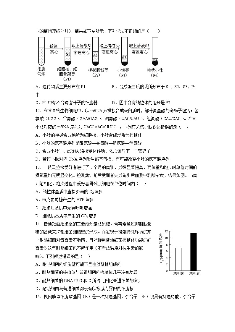 重庆市万州第二高级中学2022-2023学年高三上学期1月质量检测生物试题(Word版附答案)03