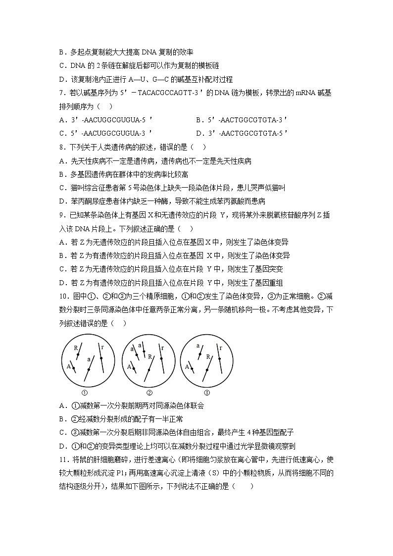 2023重庆市万州二中高三上学期1月质量检测生物试题含答案02