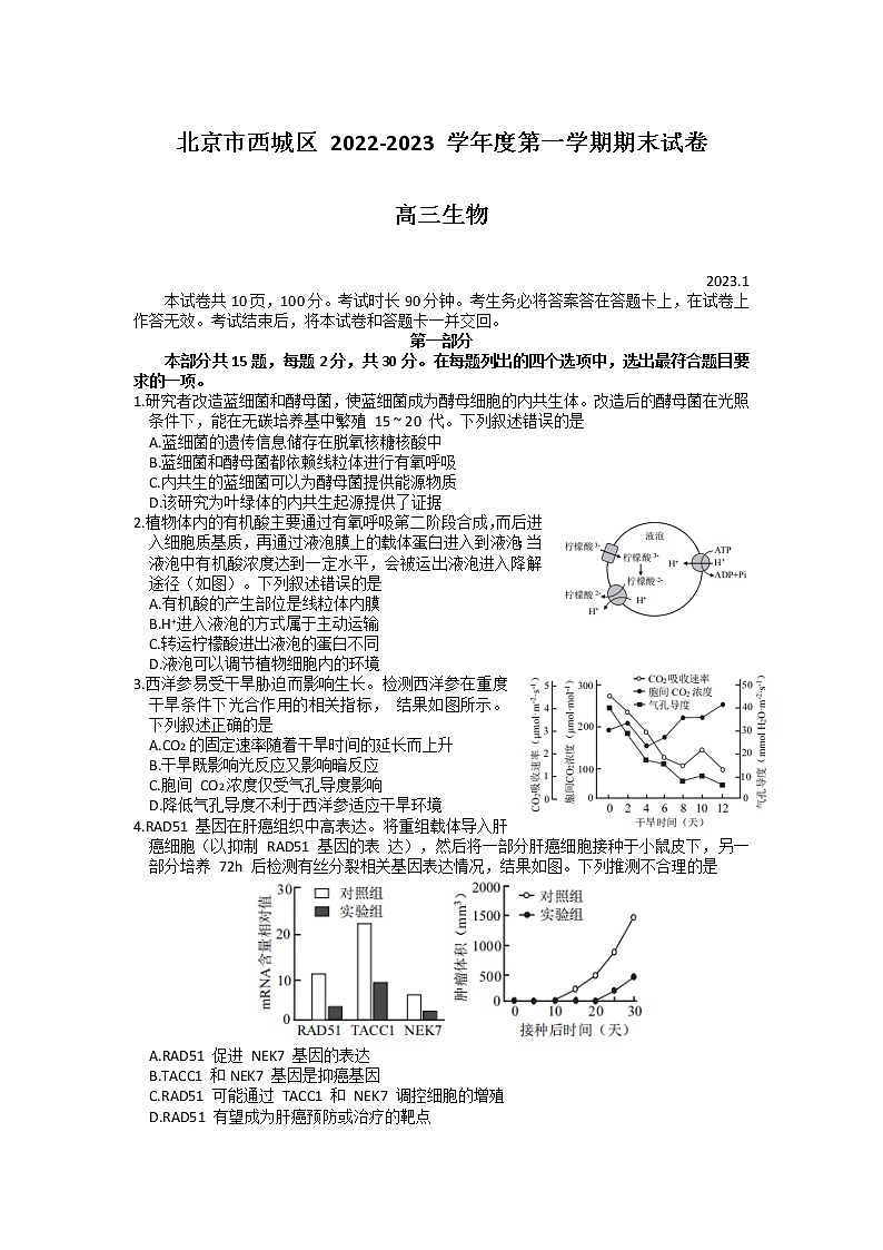 北京市西城区2022-2023学年高三生物上学期1月期末考试试卷(Word版附答案)01