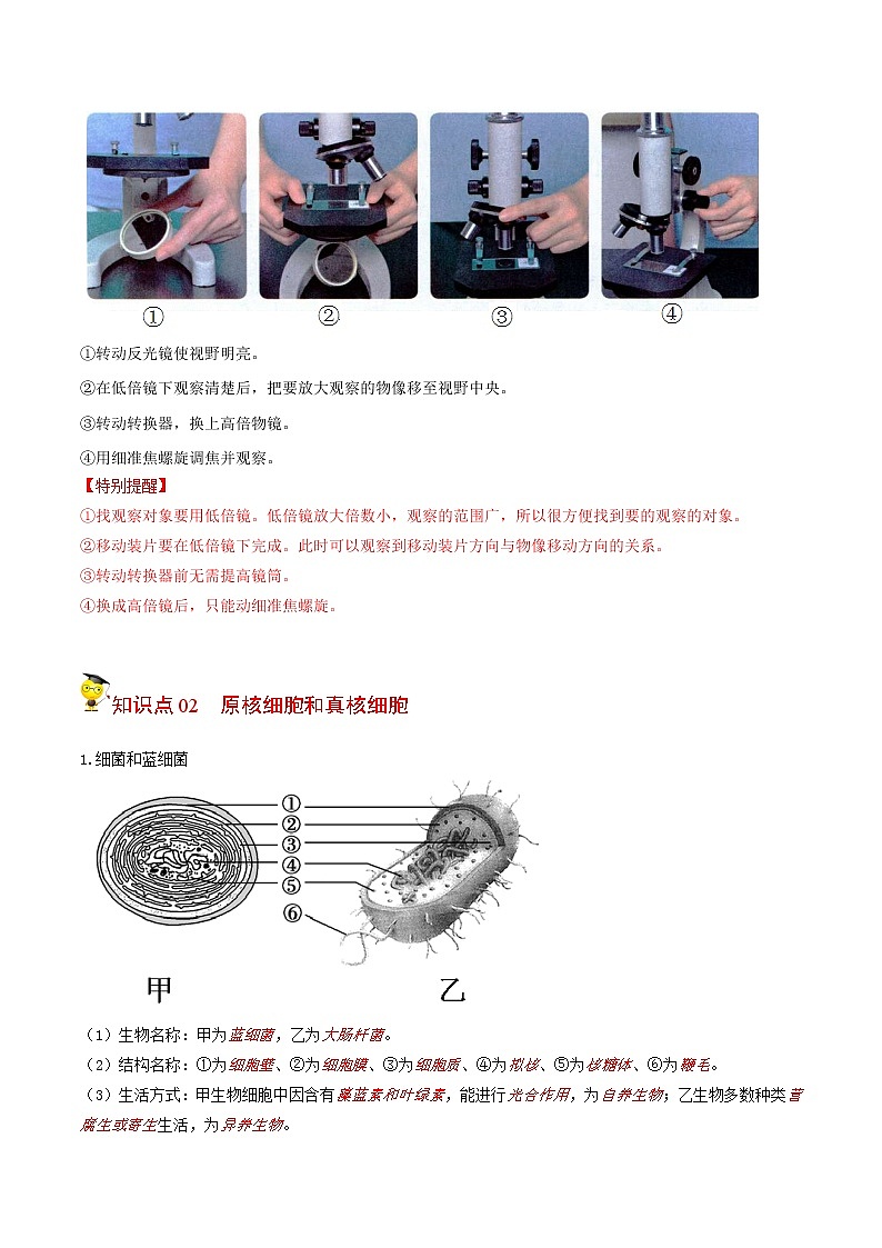 1.2 细胞的多样性和统一性(学生版)-高一生物同步精品讲义(人教2019必修1)第2页