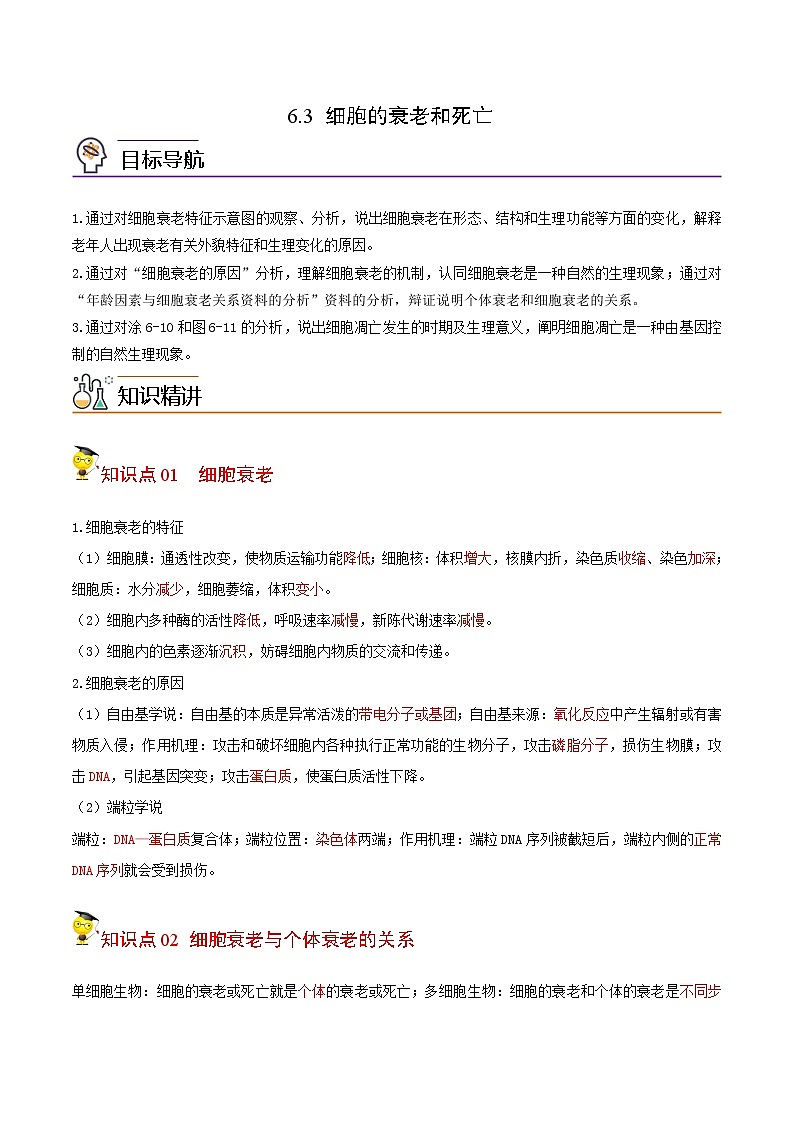 6.3 细胞的衰老和死亡(教师版)-高一生物同步精品讲义(人教2019必修1)01