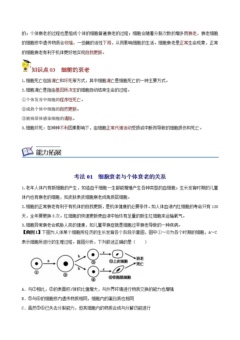 6.3 细胞的衰老和死亡(教师版)-高一生物同步精品讲义(人教2019必修1)02