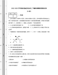 2022-2023学年湖北省武汉市高二下册生物期末模拟试卷（AB卷）含解析