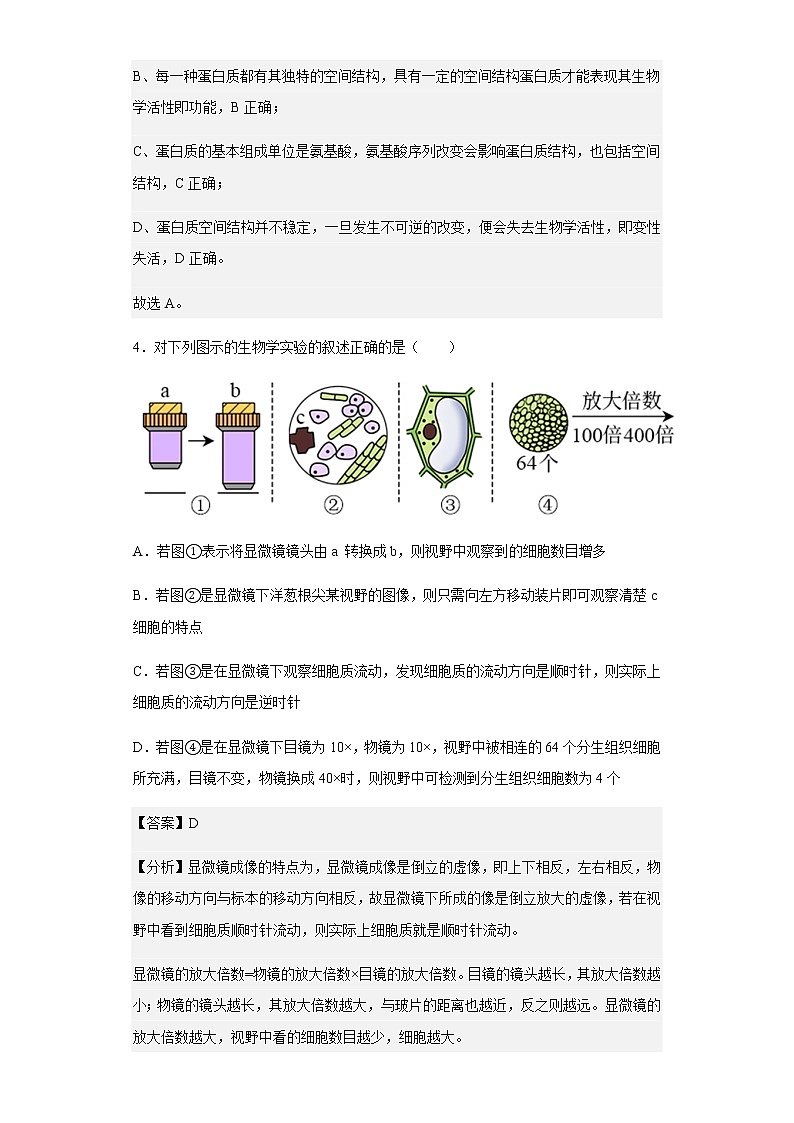 2022-2023学年海南省澄迈中学高一上学期学科竞赛生物试题含解析第3页