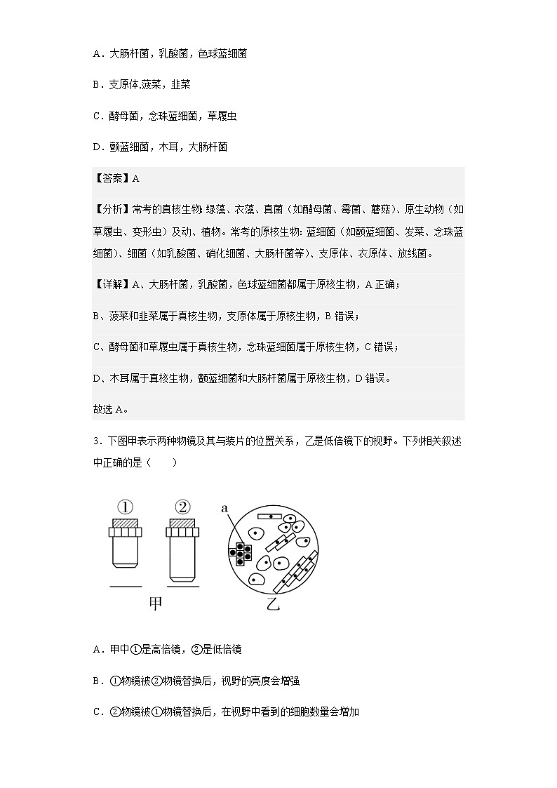 2022-2023学年甘肃省酒泉市玉门油田一中高一上学期期中生物试题(A卷)含解析02