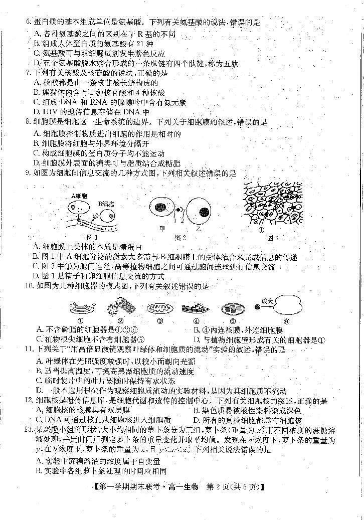 安徽省皖北地区2022-2023学年高一上学期期末联考生物试题第2页